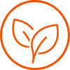 Clean  Ingredients