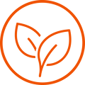 Gluten Free & Vegan Friendly
